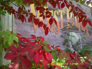West Park with my Kids last fall. Sign and foilage of red.